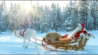 Babbo Natale 🦌🎅 I segreti delle renne di Santa Claus in Lapponia Finlandia Rovaniemi