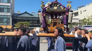 2024 小田原松原神社例大祭　神輿渡御　5日　七枚橋　三角公園付近