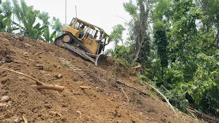 Clearing Forests in Steep Places D6R XL Bulldozers in Plantations