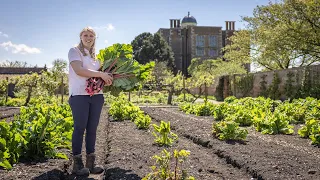 The stunning kitchen garden that produces 4.5 tonnes of fruit and vegetables every year!