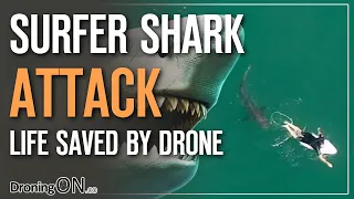 DJI DRONE saves SURFER from SHARK ATTACK in Australia (NSW)!
