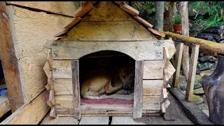 Living off the grid Ep.20 | How do I build a LOG CABIN for my dog, Log Cabin in the rainforest