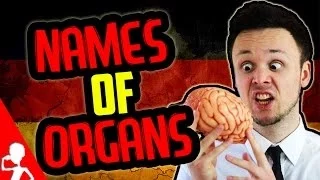 Names of Organs | Learn German for Beginners | Lesson 18