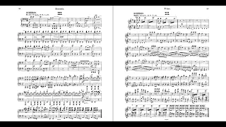 Dvořák - Symphony 9 (III. Molto vivace) 4-hand arrangement for piano - Duo Solot