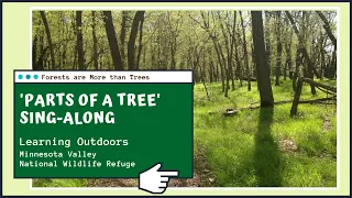 Parts of a Tree Sing-Along