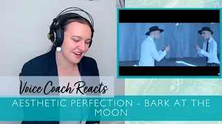 Voice Coach Reacts | Aesthetic Perfection - Bark at the Moon