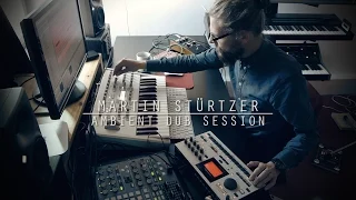 Ambient Dub Techno session with Moog, Virus, DX7, Machinedrum