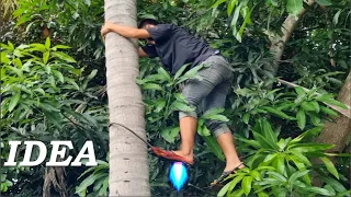 The idea Of A Coconut Climbing Shoe is Fast