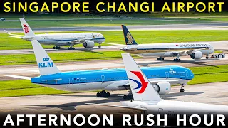 SINGAPORE CHANGI AIRPORT - Afternoon RUSH HOUR | PLANE SPOTTING