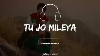 Tu Jo Mileya | slowed + reverb | Juss x MixSingh | New Punjabi Song 2024 | Latest Punjabi Songs 2024