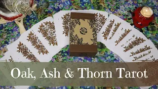 It's finally here!! Oak, Ash & Thorn Tarot | Meditative Animal Deck | First Impressions Walkthrough