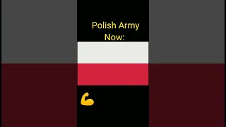 Polish Army Then Vs Now #shorts #2022