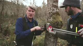 Tree Fort Hardware: Treehouse Attachment Bolt (TAB) Installation