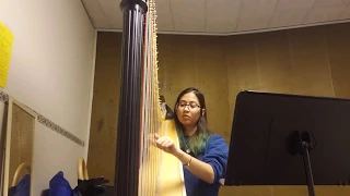 Wet Hands Harp Cover (Relaxing Minecraft Music)