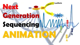 Next Generation Sequencing | NGS | Animation