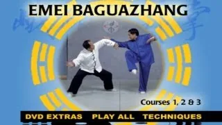 Baguazhang (YMAA Eight Trigrams Palm Kung Fu) Liang, Shou-Yu