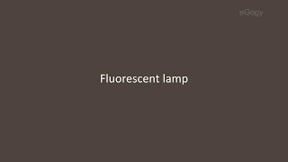 Fluorescent lamp and its working