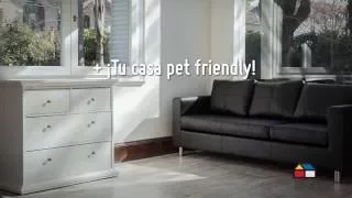 ¿Cómo hacer tu casa Pet Friendly? - Sodimac Homecenter Argentina