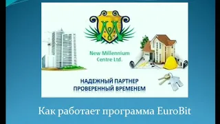 New Millennium Centre Ltd Особенности строения и заполнения матриц  программы EuroBit