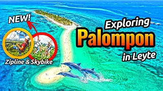 We found a bunch of DOLPHINS in KALANGGAMAN ISLAND // Exploring Palompon Leyte
