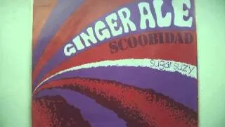 Ginger Ale - Scoobidab