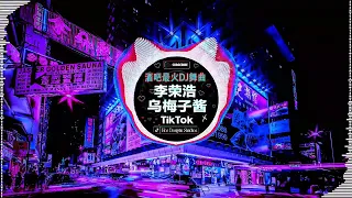 🔝 最佳 DJ 混音音乐 ~ 2024抖音最伤感歌曲合集💘抖音神曲2024🎧破億中文歌曲排行榜:「是你 - 夢然 , Nana - LONELY, 司南 - 冬眠, 白月光與朱砂痣, 阿涵 - 過客」