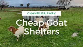 Cheap Goat Shelters!