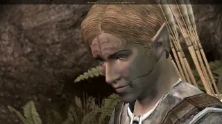 Dragon Age Origins, Dalish Rogue Part 1