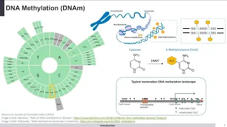 Profiling Age and Body Fluid DNA Methylation Markers