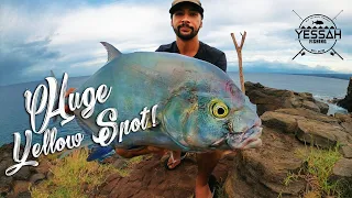 Yellow Spot Papio & Akule Night Fishing | Shoreline Jigging Hawaii | Big Island Drone Fishing