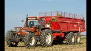 Chicorées 2022 | Fiatagri 160-90 & BeetMaster 3200 | Ropa EuroTiger V8-4