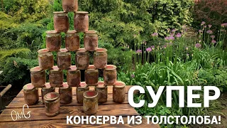 Супер консерва из толстолоба! #рыбалка #рыба #консервы #оченьвкусно #дома