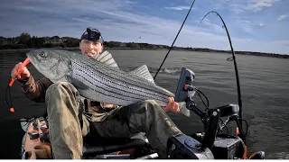 Big Striped Bass Interrupts Tautog Fishing! Light Tackle Monster Caught In Cape Cod In My Kayak!
