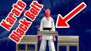 Karate Master vs Mixed Martial Arts 1v1s - Totally Accurate Battle Simulator TABS