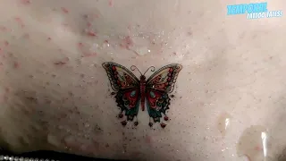 MAGIC TATTOO Beautiful Butterfly Temporary Tattoo 🦋 #007