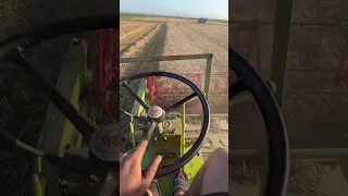 Claas compact 30 i zmaj 142 vrsaj žita