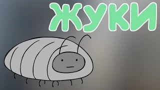 ЖУКИ