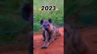 2023 Hyena and 5000 bce Hyena | Animal Evolution World | #shorts #viral #trending #youtubeshorts