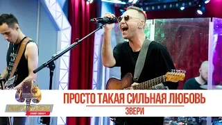 Звери - Просто такая сильная любовь. «Золотой Микрофон 2019»