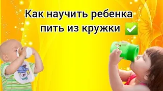 Как научить ребенка пить из кружки. Поэтапный отказ от бутылочки✅