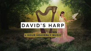 FEAR NOT : David's Harp | 1 Hour Relaxing Harp Instrumental | Peaceful Music | Christian Harp Music