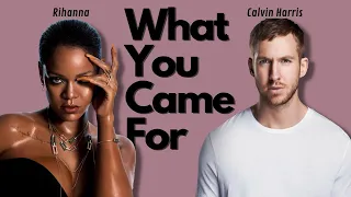 Calvin Harris & Rihanna - What You Came For (Empty Arena)