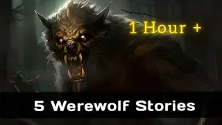 5 True Werewolf Horror Stories 1 Hour +