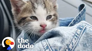 Sisters Rescue A Kitten At The Indy 500 | The Dodo