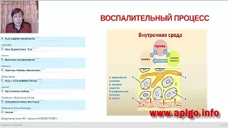 APLGO, О технологии ACUMULLIT SA Академик Кузнецов А.Н.