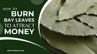 How To Manifest Money Prosperity By Burning Bay Leaves