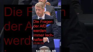 AfD stellt mal wieder paar wirre Fragen