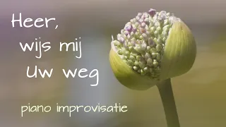 Heer wijs mij Uw weg - Piano improvisatie