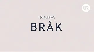 Bråk | SÅ FUNKAR MATTE! | Åk 4 - 6
