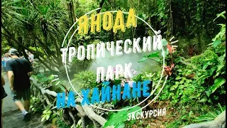 Янода - тропический парк на Хайнане. Стеклянный мост над джунглями Хайнаня